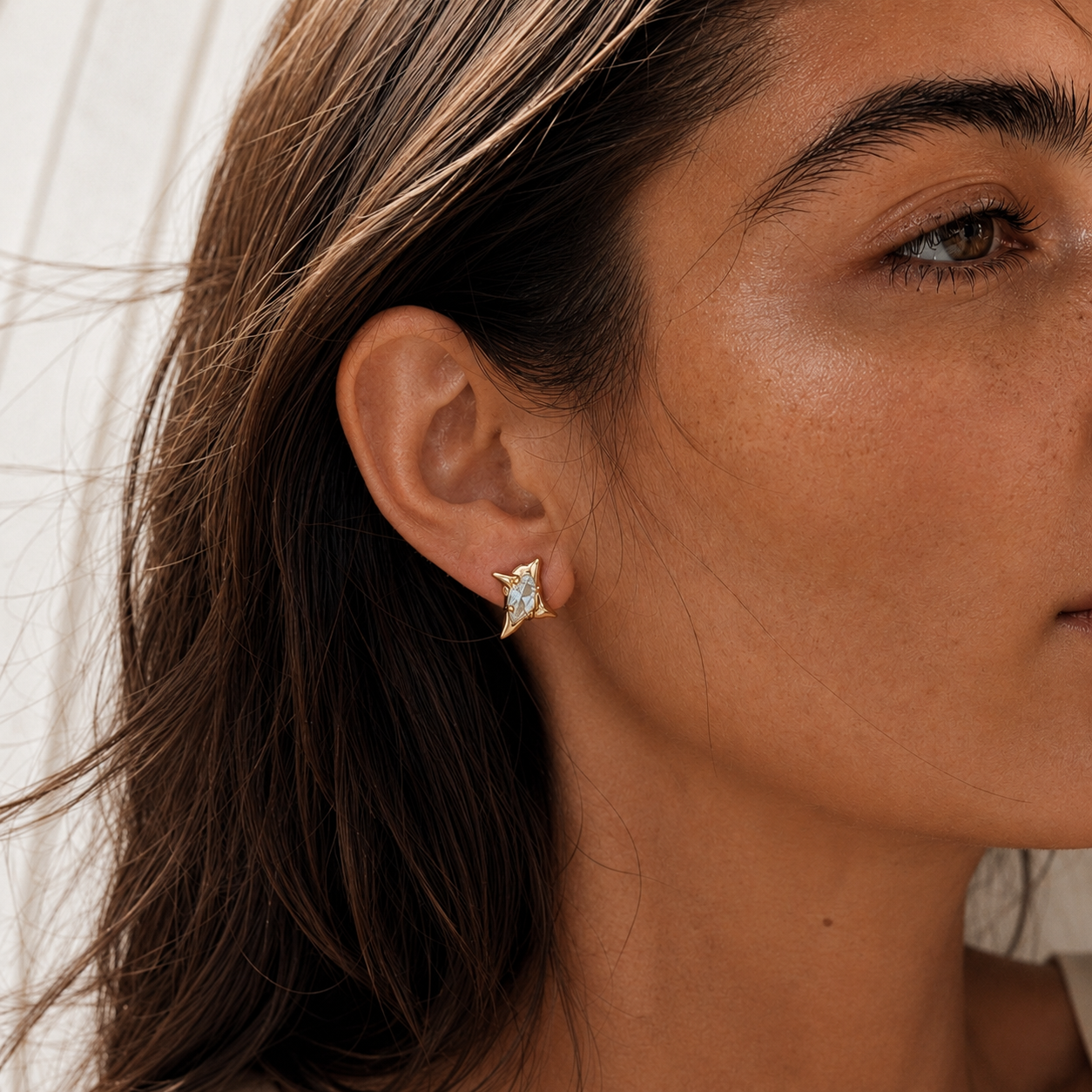 Pimosfer Earrings — VE2603-1177 image 1