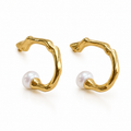 Pimosfer Earrings — VE2605-0076 image 1
